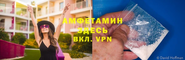 ПСИЛОЦИБИНОВЫЕ ГРИБЫ Лабытнанги