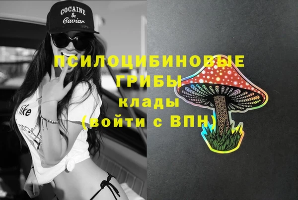 ПСИЛОЦИБИНОВЫЕ ГРИБЫ Лабытнанги