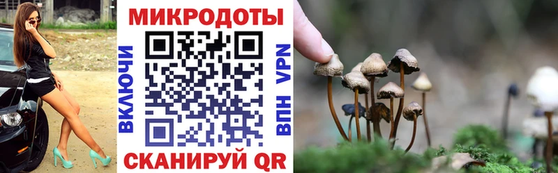 Галлюциногенные грибы Psilocybine cubensis Электросталь