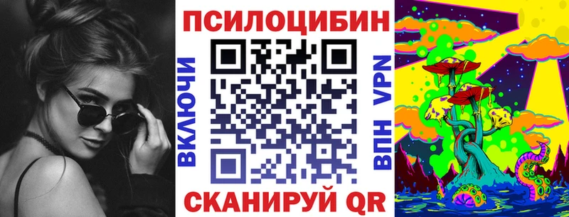Купить где  Электросталь  Галлюциногенные грибы Cubensis 